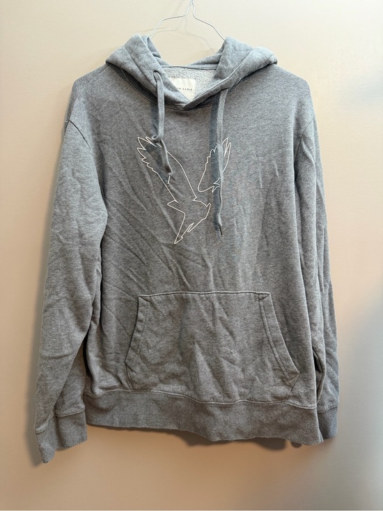 American Eagle Outfitters Other - American Eagle Outfitters Grey Hooded Sweatshirt with Eagle Outline